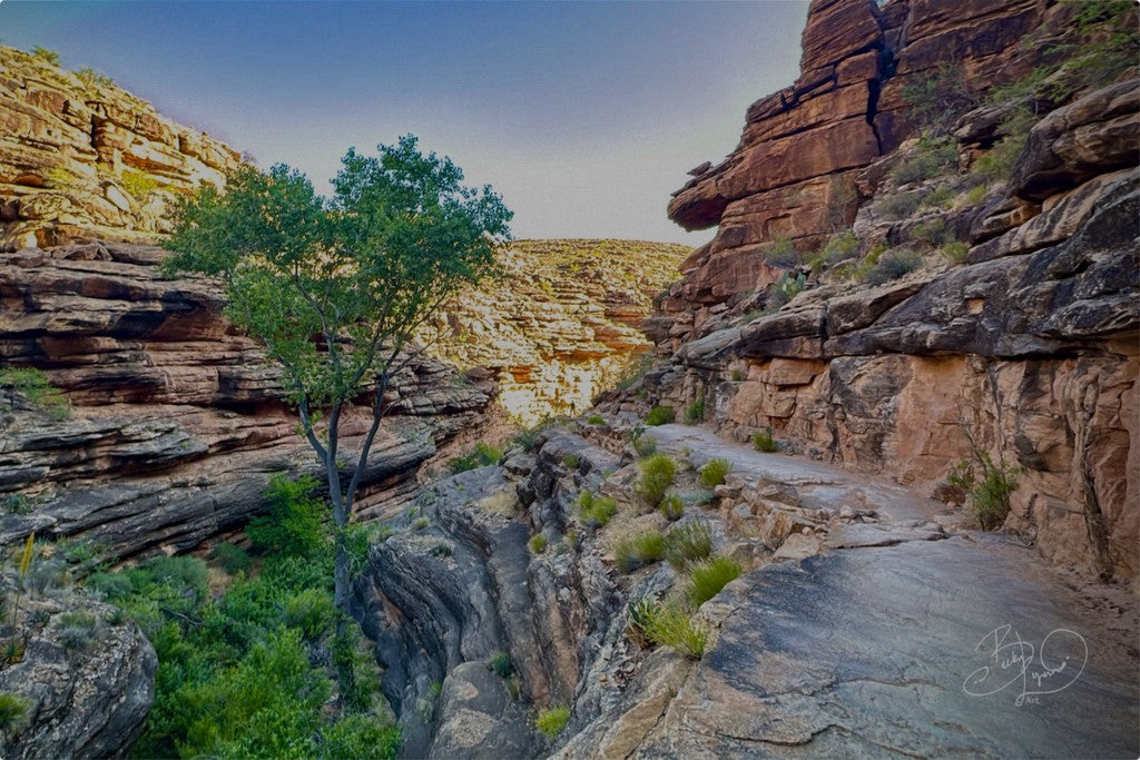 BrightAngel Trail (path of wonders)