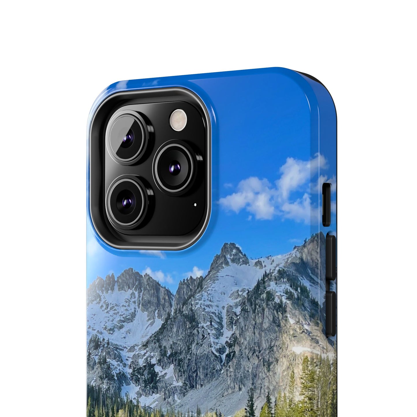 Sawtooth National Wilderness Phone Case optionA for all models.