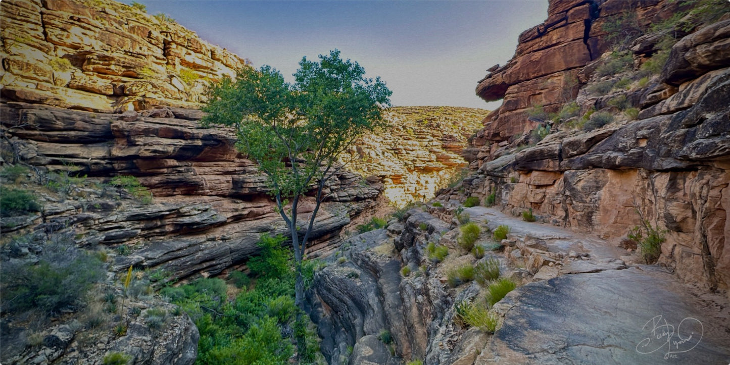 BrightAngel Trail (path of wonders)