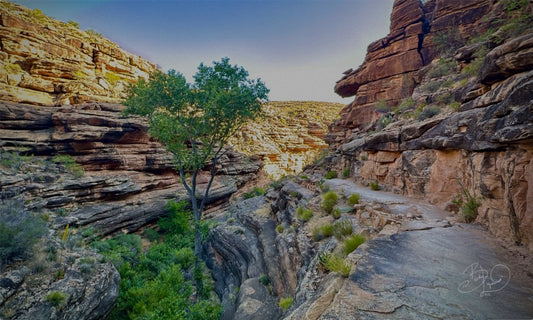 BrightAngel Trail (path of wonders)