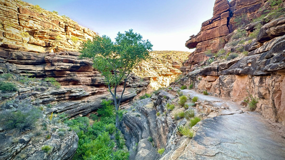 BrightAngel Trail (path of wonders)