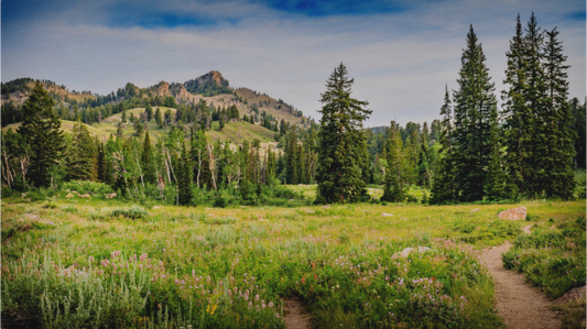 Main image Mount Magog, Naomi Wilderness, Utah