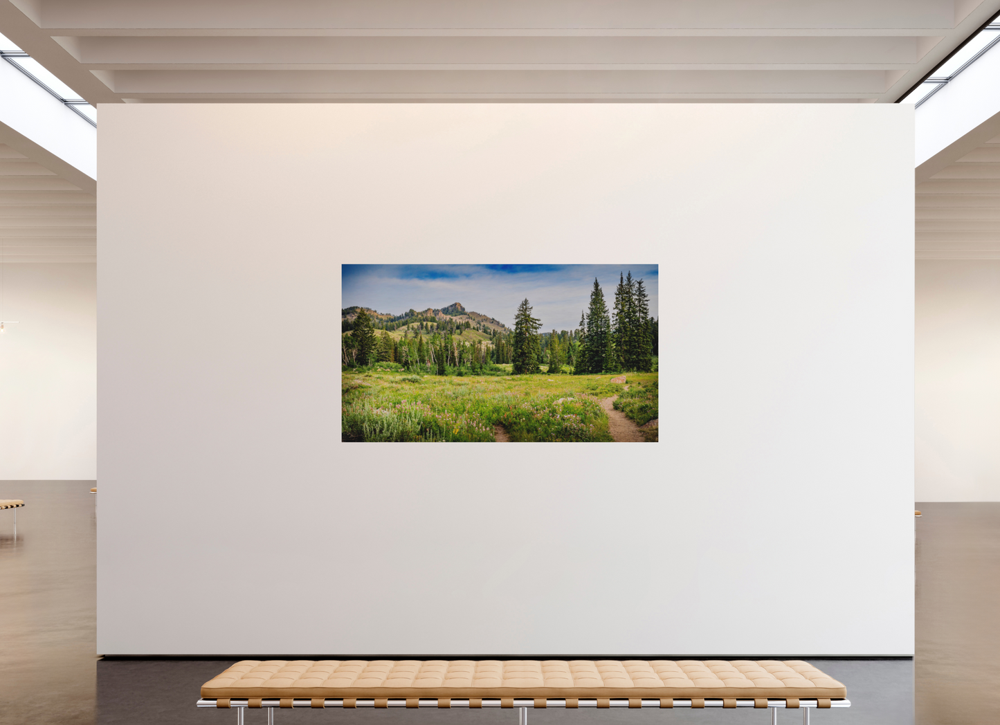 80 x 45″, Silver based metal Mount Magog, Naomi Wilderness, Utah